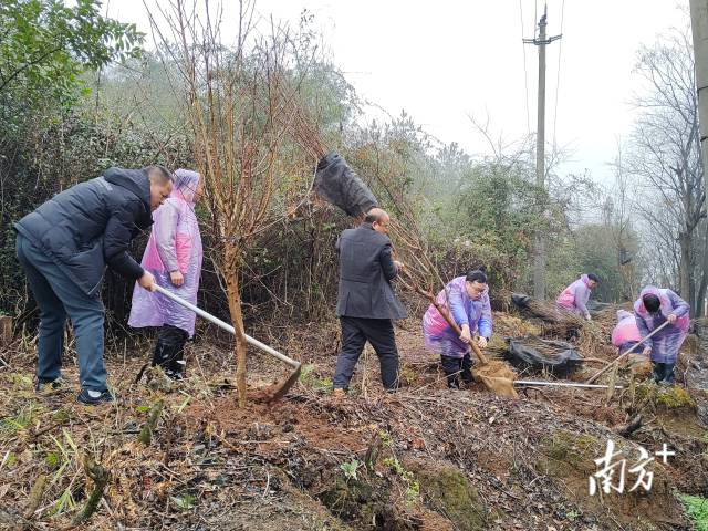 九陂鎮(zhèn)掀起全民義務(wù)植樹熱潮。